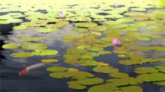 穆沉栩薛灵芸-离开小师妹免费小说