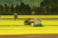 【完结】《56326985》小说（江晚芙陆