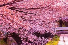王曦宋岱岩全文小说_备胎女友不干