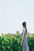 温柔学霸乔如(乔如江书华)小说免费