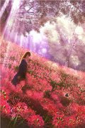 红墙旧梦全章节小说（沈京墨沅芗