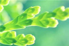 重生抱紧太子江苒裴云起小说全文
