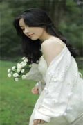 夏晚枝傅霁清(一见钟情夏晚枝)小说