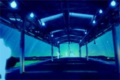 88123456厉言铖温遥全本资源小说免费