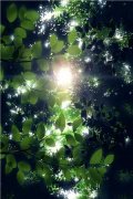有个律师老公（江聿珩南音）全文