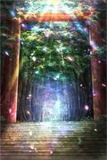 真假感情施礼梁恭-真假感情小说免
