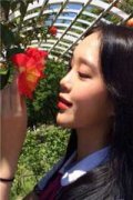 《洛清渊傅尘寰免费阅读》小说（