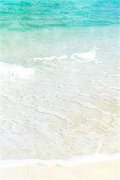 顾长歌安陵王小说全文免费阅读_顾