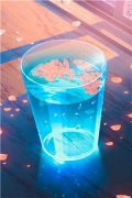 温尔晚慕言深小说（温尔晚慕言深