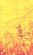 宠物老板（顾彦）全文免费阅读_宠