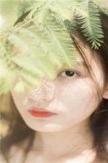 陆菲儿齐尘御(陆菲儿齐尘御)全文免