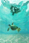 城楼重生(萧泽江芜)全文免费阅读