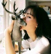 简佳陆景庭全文免费阅读_（简佳陆