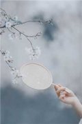 婚色（江宁周烈）by阿花全文免费阅