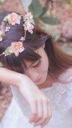 洛筝薄寒城（洛筝薄寒城）全文免