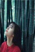 红尘时代(陆诗琪)小说免费阅读（陆