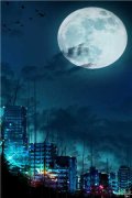 冤种姐妹(李俊杨琳)全文免费阅读