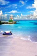沈越方桥（他在守株待兔）全文免