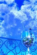 甲方攻略全文免费阅读_（夏初陆铮