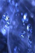 宋疏言叶蓁（妄想戒指）全文免费