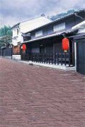 租房者联盟(租房者联盟)小说全文
