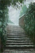 双面网络小说免费（宋时砚陆冉）