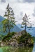 颜晨陆廷深全文小说（陆廷深颜晨