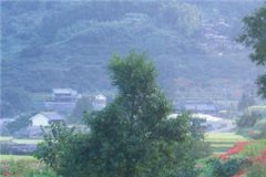 老公竟是千亿大佬免费阅读（老公