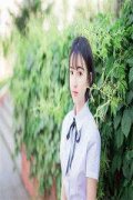 李四虎夏青草（李四虎夏青草）笔
