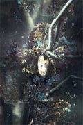 江月吟陆星寒（江月吟陆星寒）免