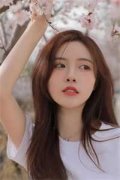 王府四美人(司北战姜黎)小说全文免