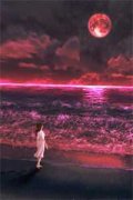 原是缘浅小说（林阮顾旻行）全文