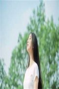 唐易柳如烟(枭龙圣佛唐易柳如烟