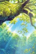 夏笙歌陆九城小说（夏笙歌陆九城