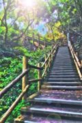 南荒统帅（陈河图唐莹）全文免费
