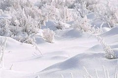 原是缘浅小说（林阮顾旻行）全文