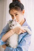 搞定冤家小说结局（程晏初沈嘉然