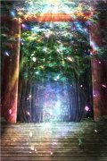 霍太太她又软又萌全文免费阅读_（