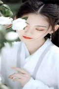 谢若沁萧淮安小说(谢若沁萧淮安
