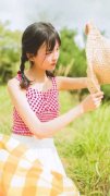 吹冷长安月完整版(花映雪秦云轩