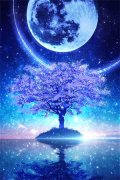温知羽霍司砚(温知羽霍司砚)全文免