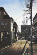 许晴郑琳（旅行套餐）全文免费阅