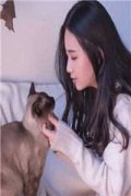 苏乘羽许南枝小说全文免费阅读无