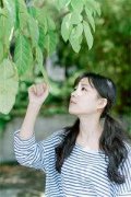 满天星之恋（鹿城陈冉）全文免费