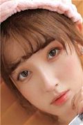 满天星之恋小说（鹿城陈冉）全文