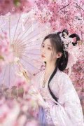 苏苒傅北渊(苏苒傅北渊)全文免费阅