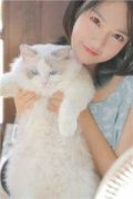 叶清清沈从安的小说免费阅读（叶