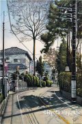前任很会装（江婉周然）全文免费