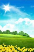 宋朝夕沈淮（宋朝夕沈淮）全文免