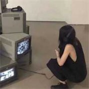 沈念瑶沈君御小说(沈念瑶沈君御